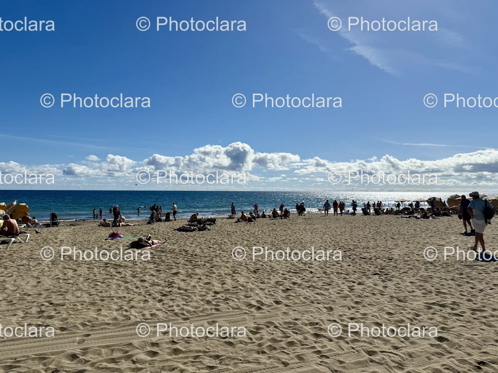 vibrant-group-enjoying-a-day-at-the-beach.jpg