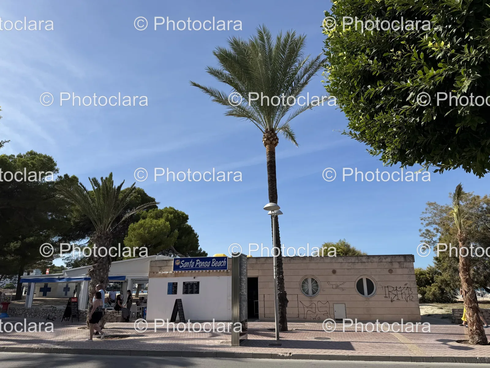 Santa-Ponsa-Beachfront-with-Palm-Trees-and-Sign.jpg