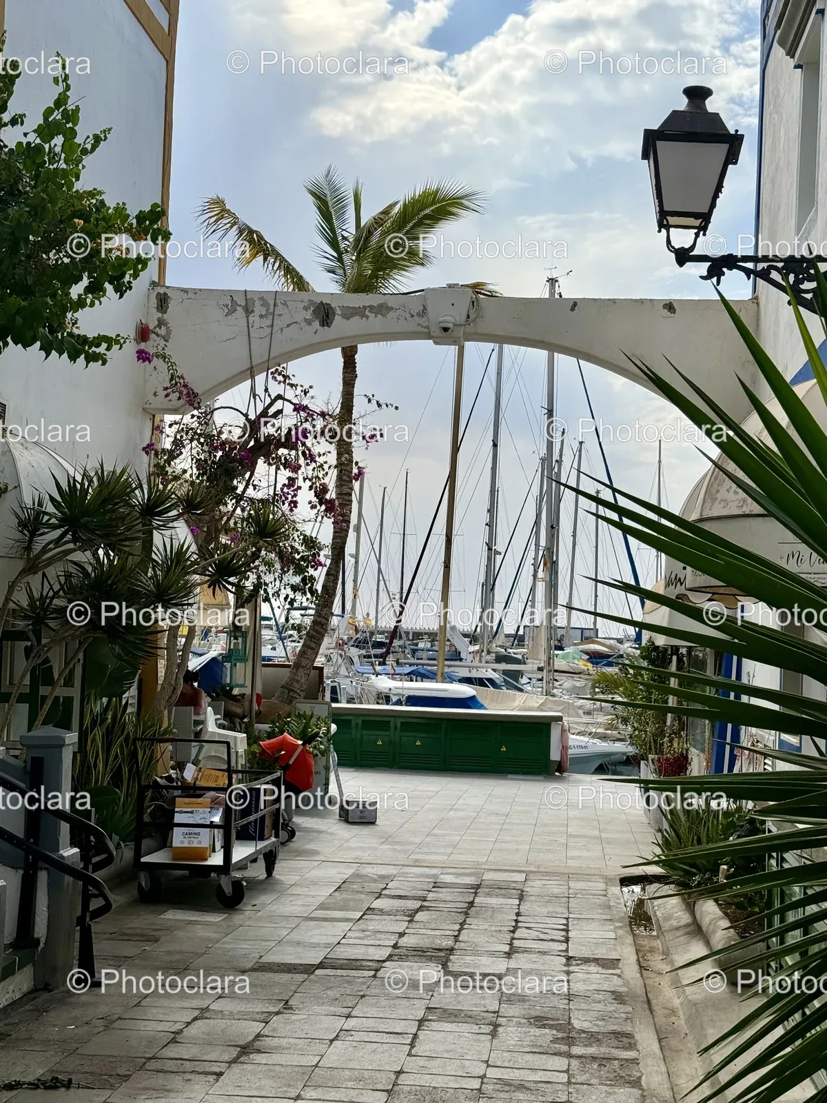 Tranquil-Walkway-by-the-Beach.jpg