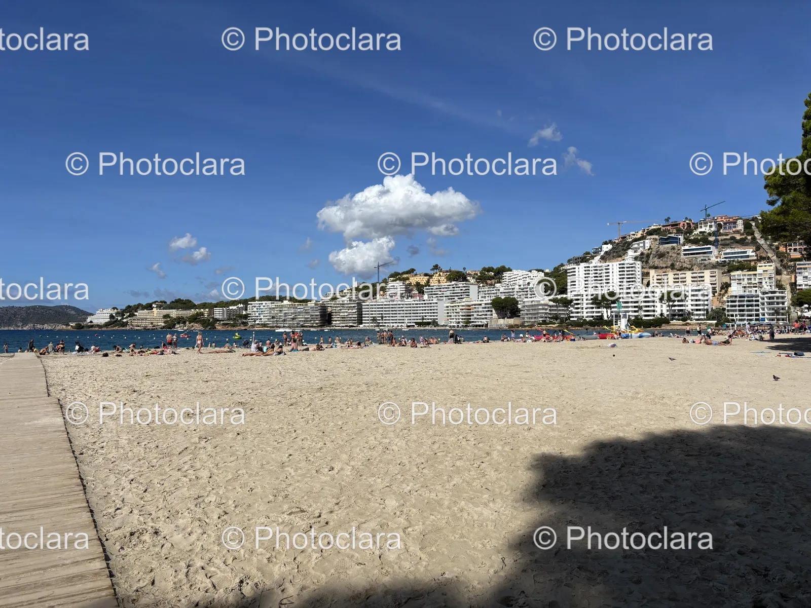 Scenic-Beachfront-with-Urban-Backdrop.jpg