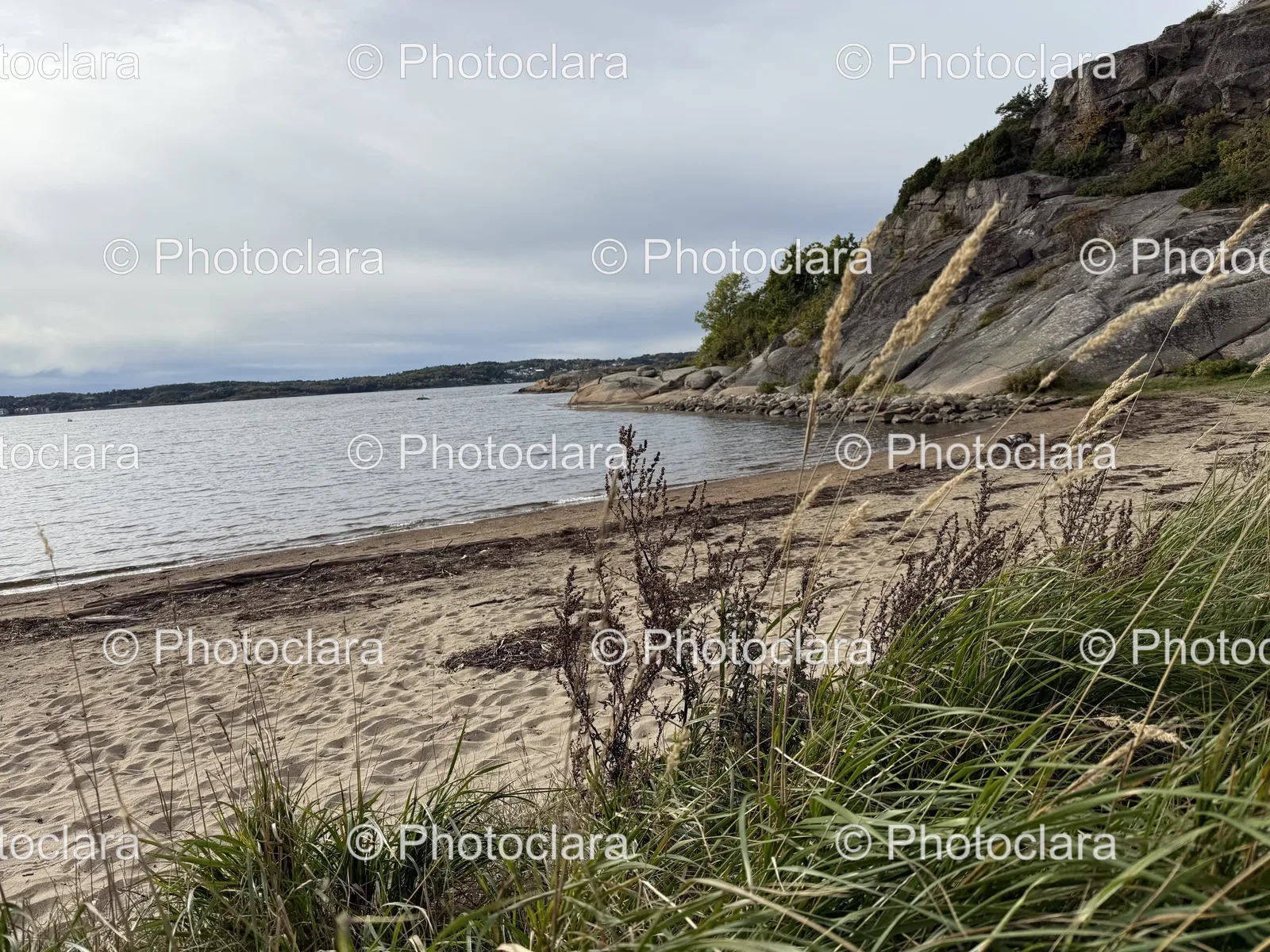 Serene-Coastal-Beachfront.jpg