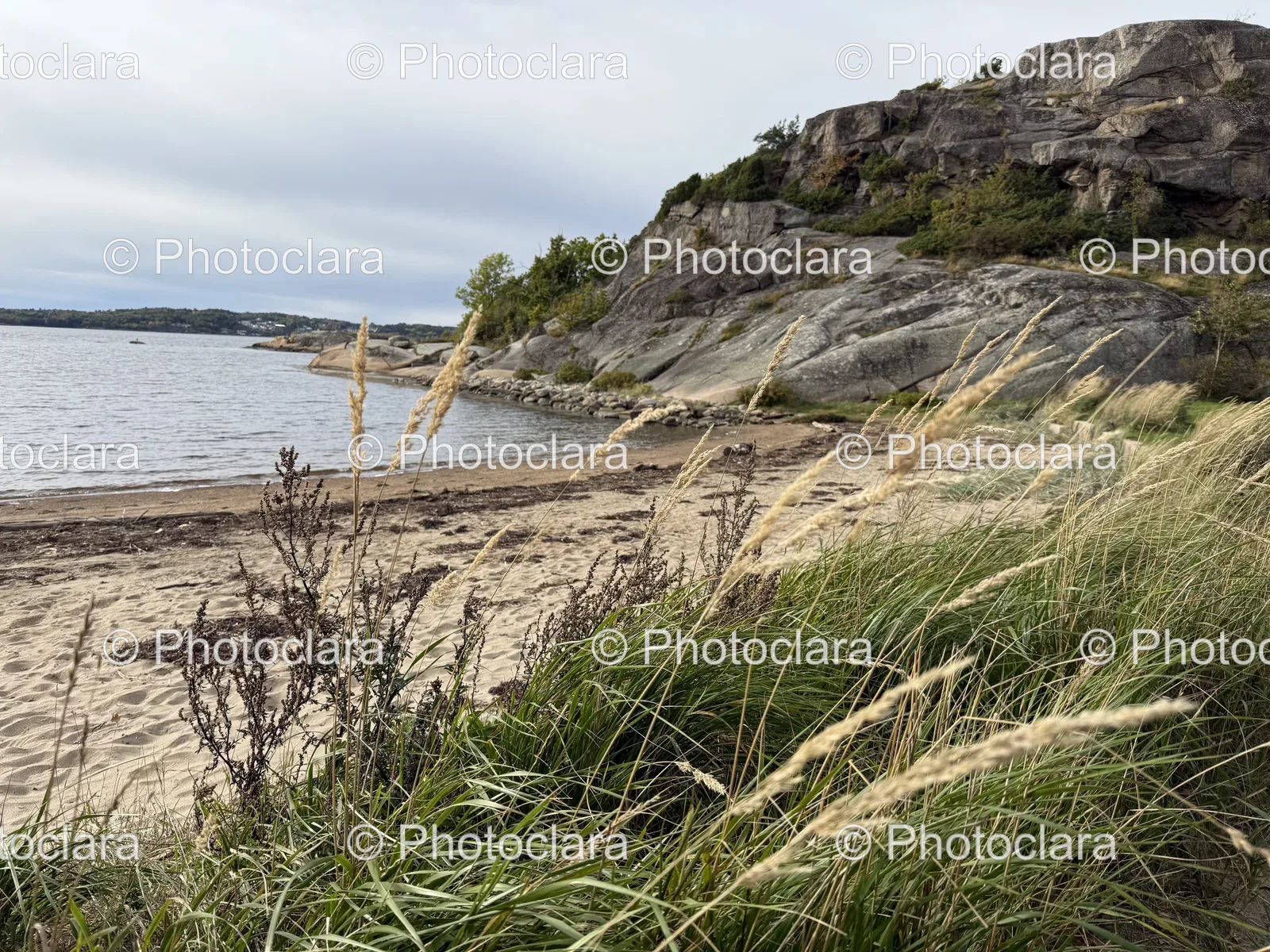 scenic-coastal-beach-with-rocks-and-grass.jpg