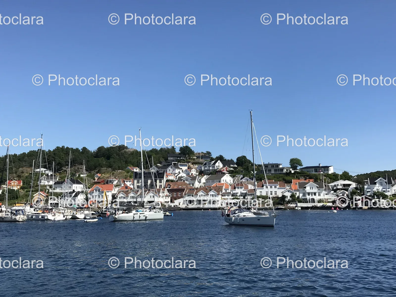 boats-in-a-harbor.jpg