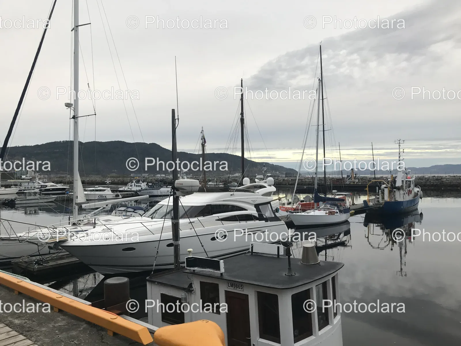 boats-in-harbor.jpg