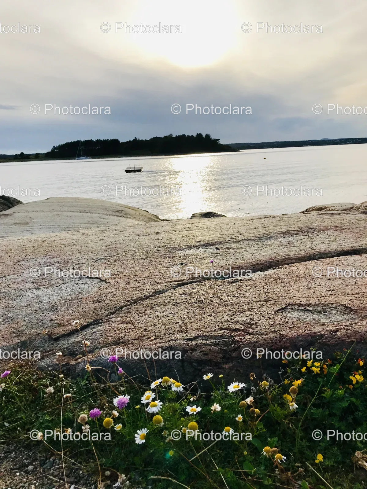 Rocky-Beach-with-Flowers-and-Water.jpg