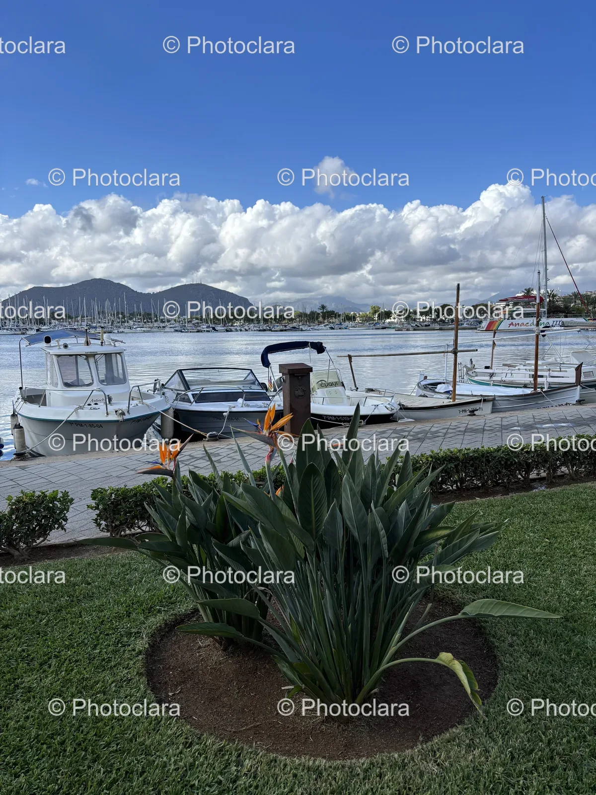 Boats-Resting-on-Dock.jpg