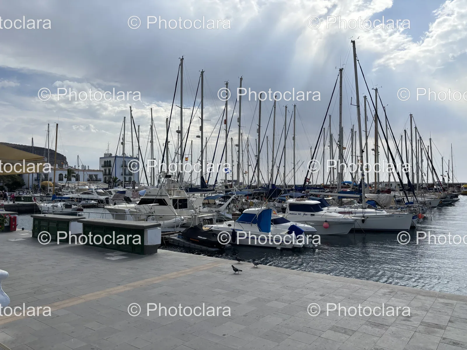 bustling-harbor-with-boats.jpg