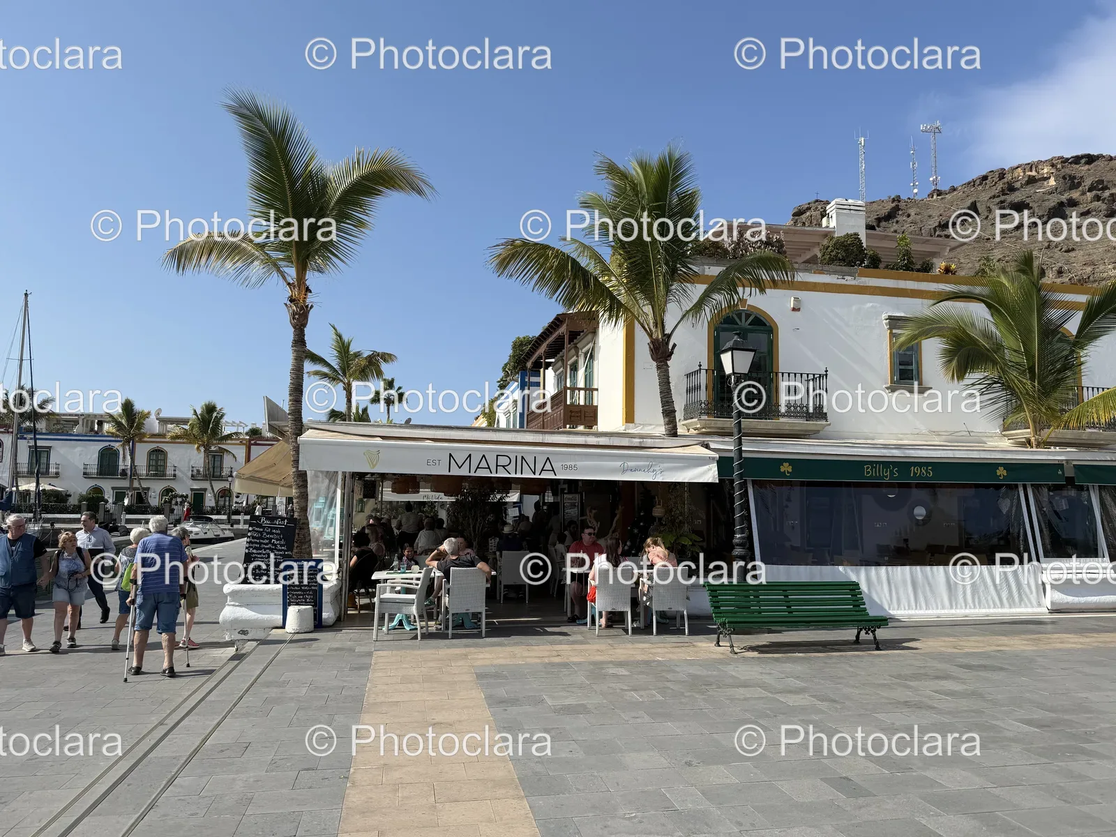 Charming-Outdoor-Cafe-with-Marina-Background.jpg