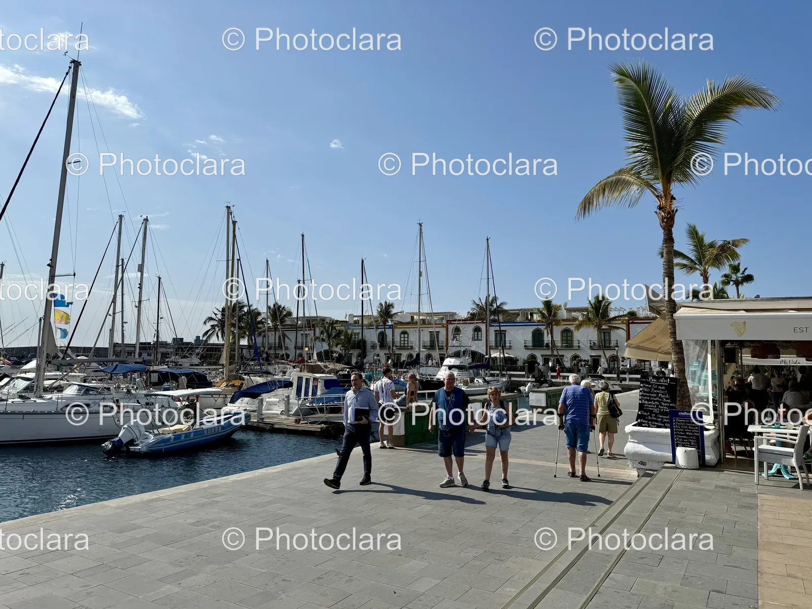 Dockside-Gathering-at-the-Marina.jpg