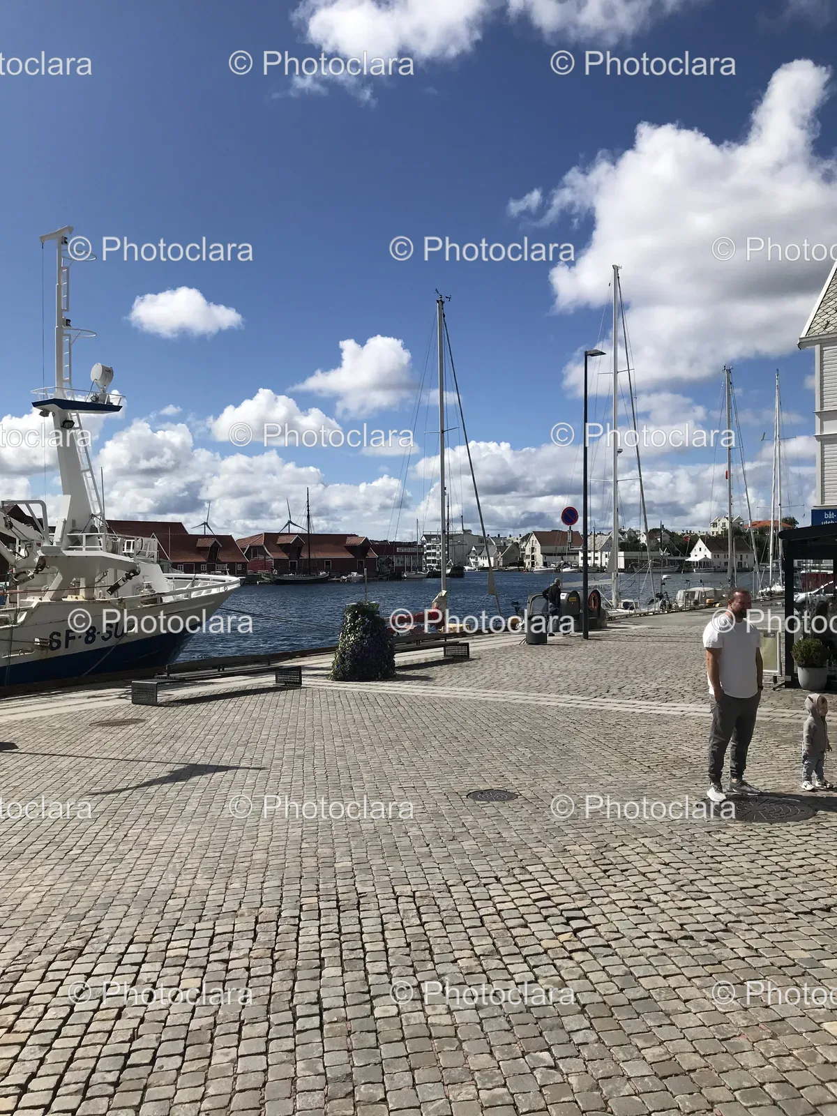 Person-and-Dog-Standing-on-Dock-by-the-Harbor.jpg