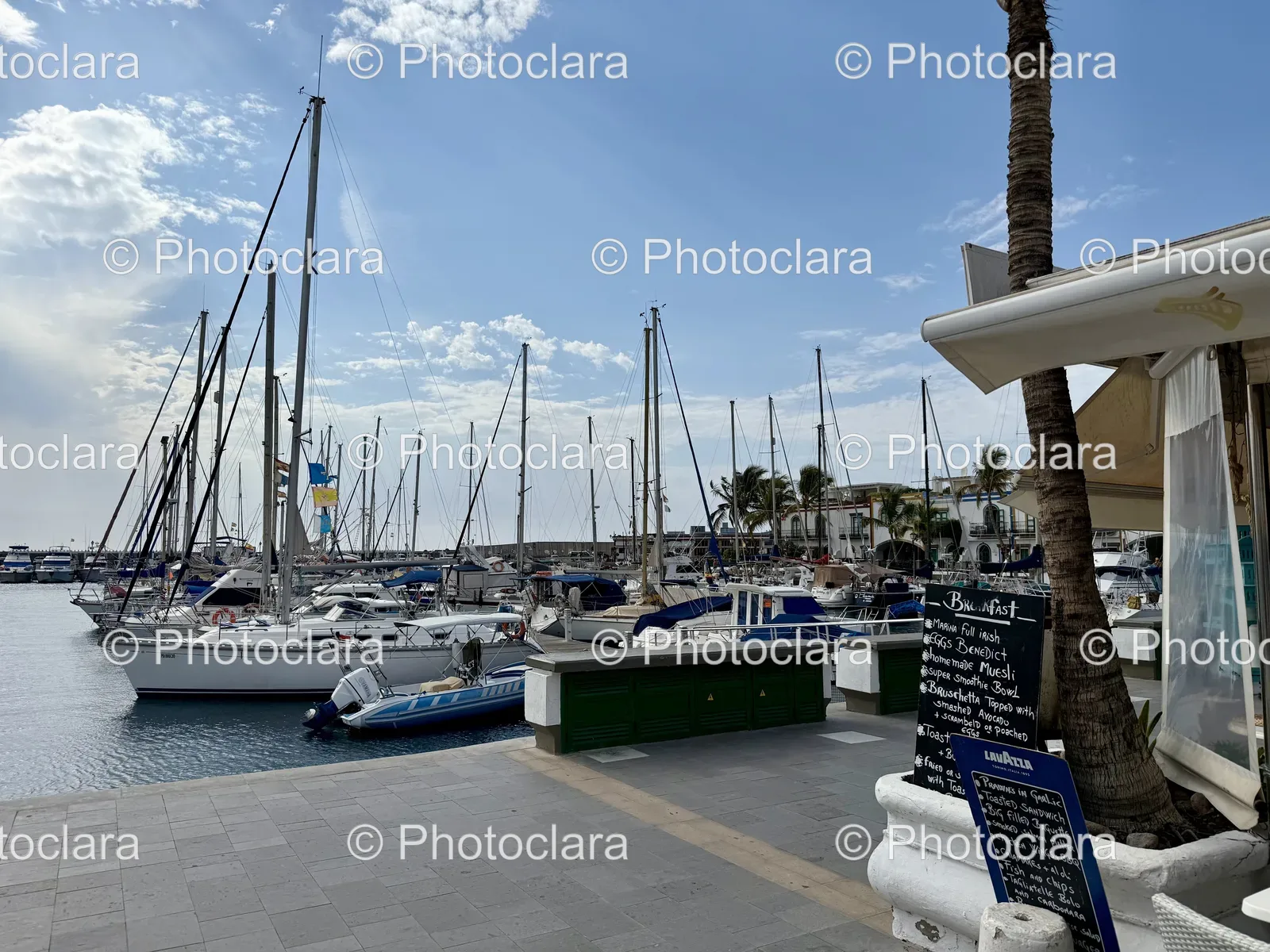 picturesque-harbor-with-assorted-boats.jpg