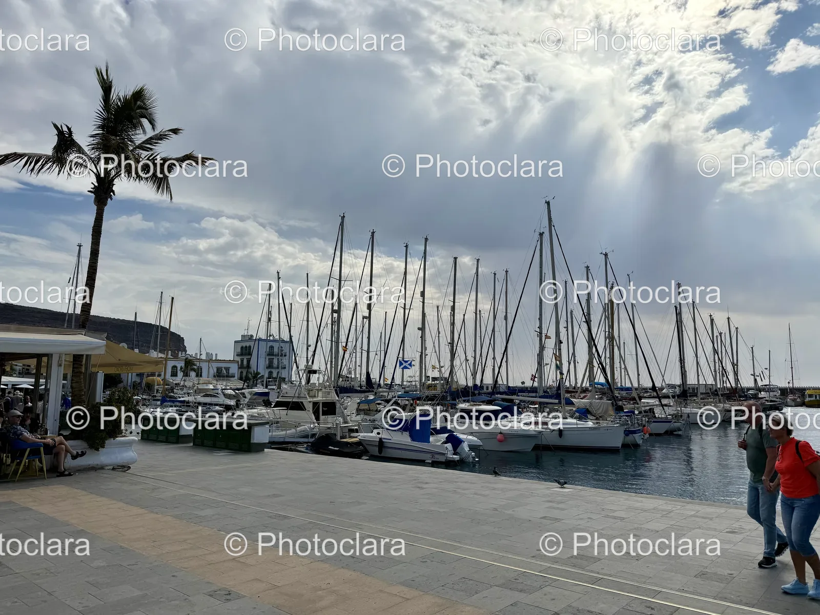 serene-sailboats-in-harbor.jpg