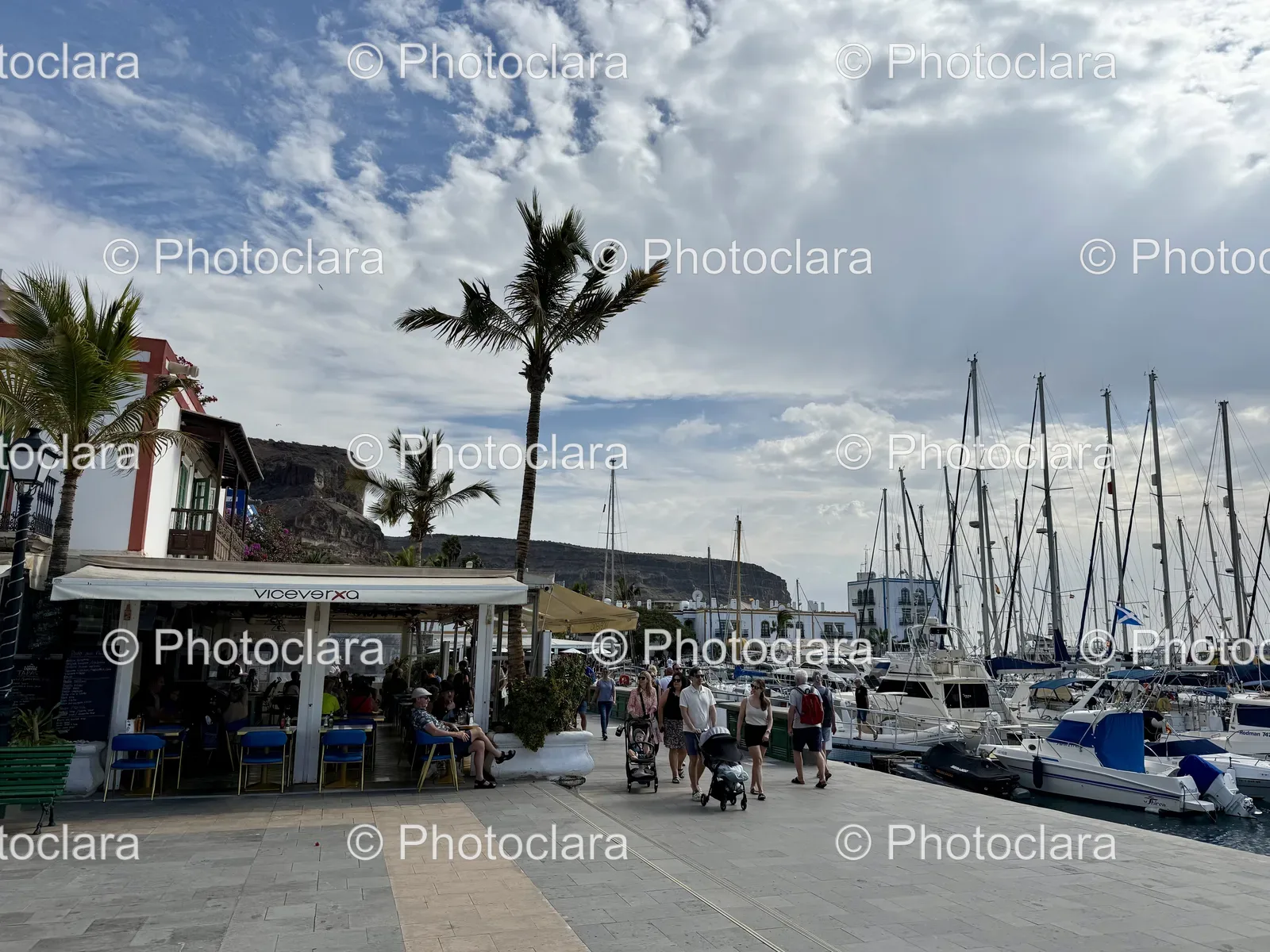 Strolling-Along-the-Dock-Palm-Lined-Harbor.jpg