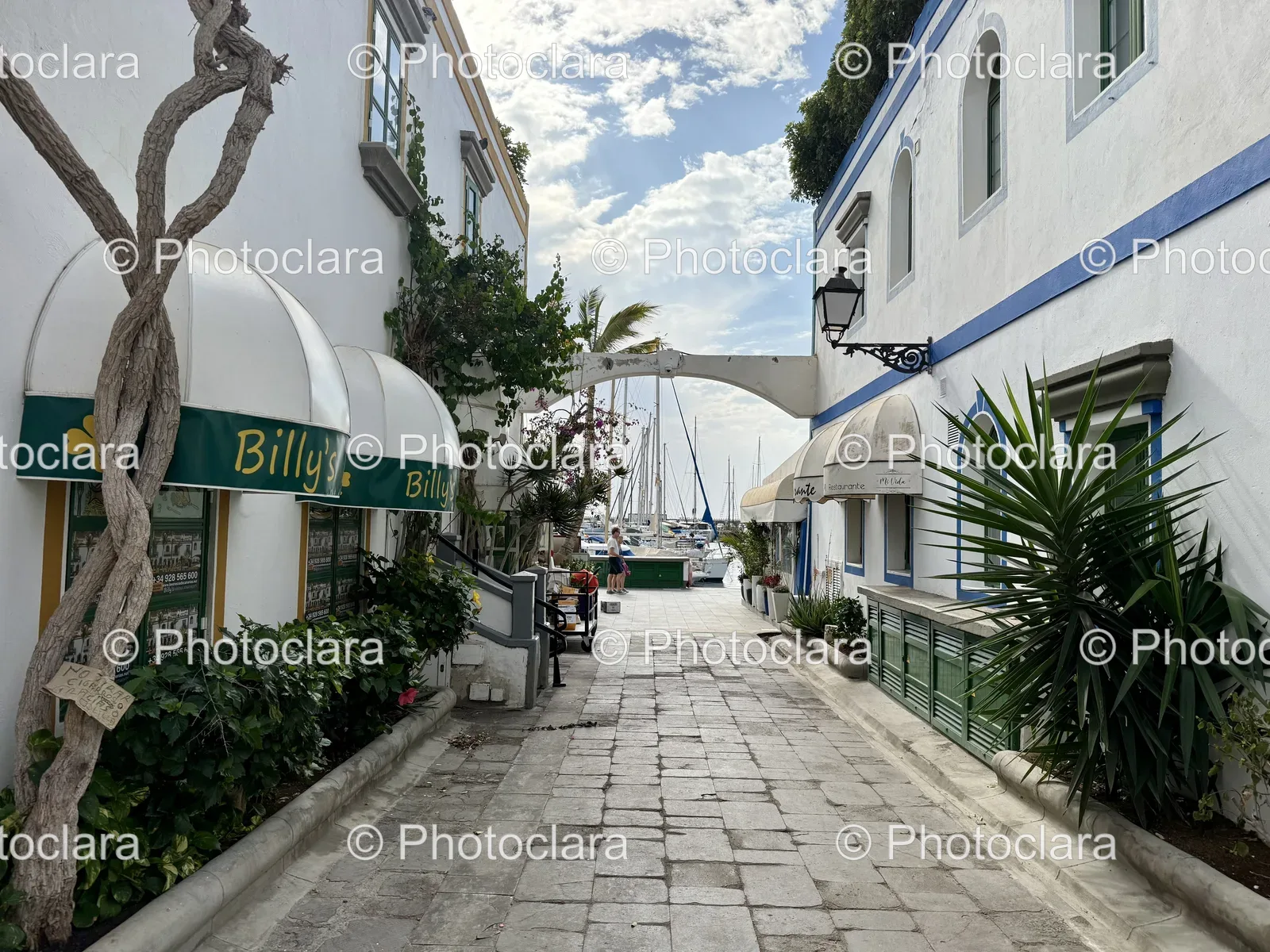 Tranquil-Walkway-by-the-Marina.jpg