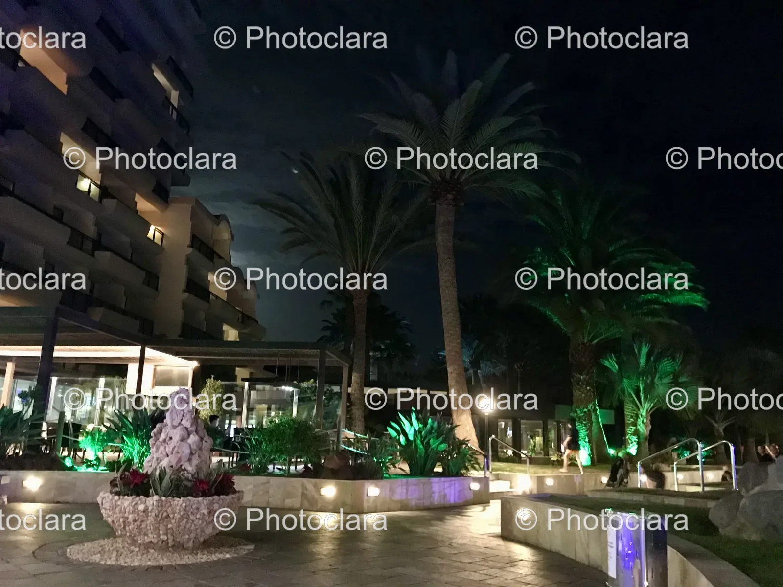 Palm-Trees-Buildings-Night.jpg