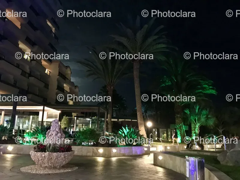 Night Scenery