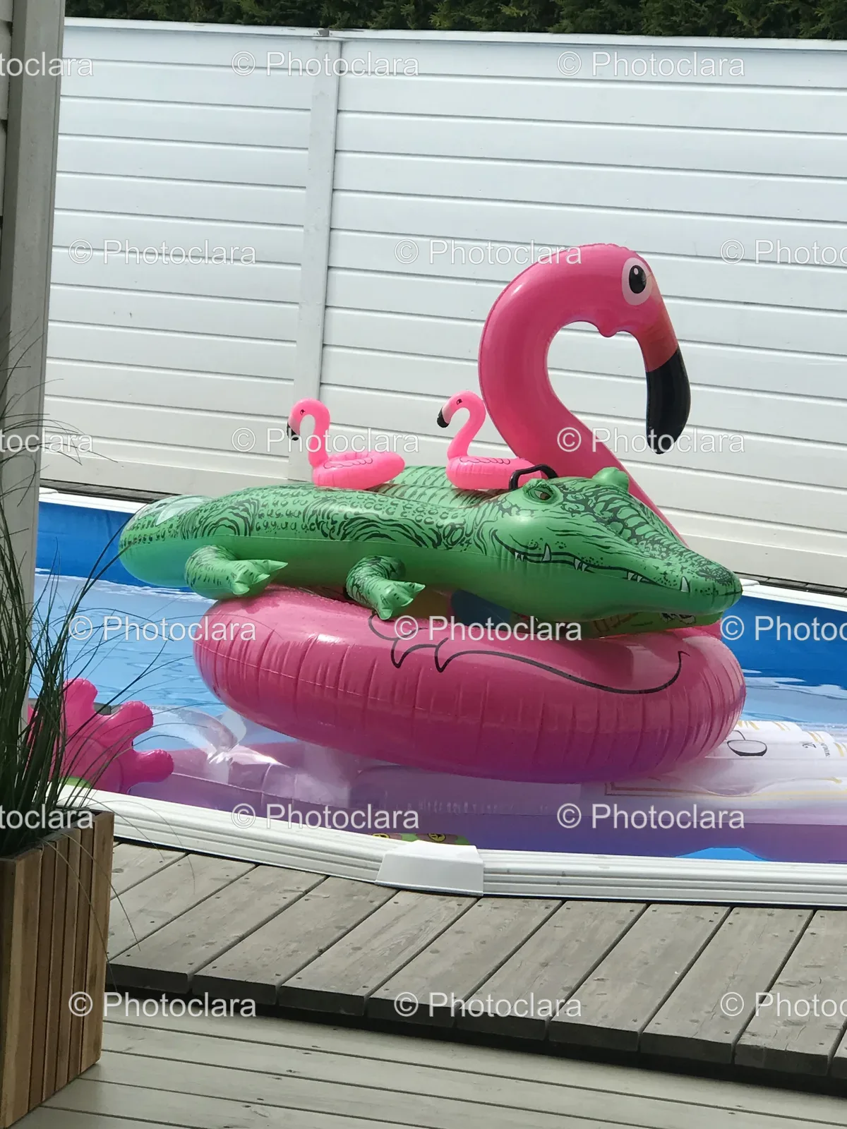 Inflatable-Toys-in-Pool.jpg