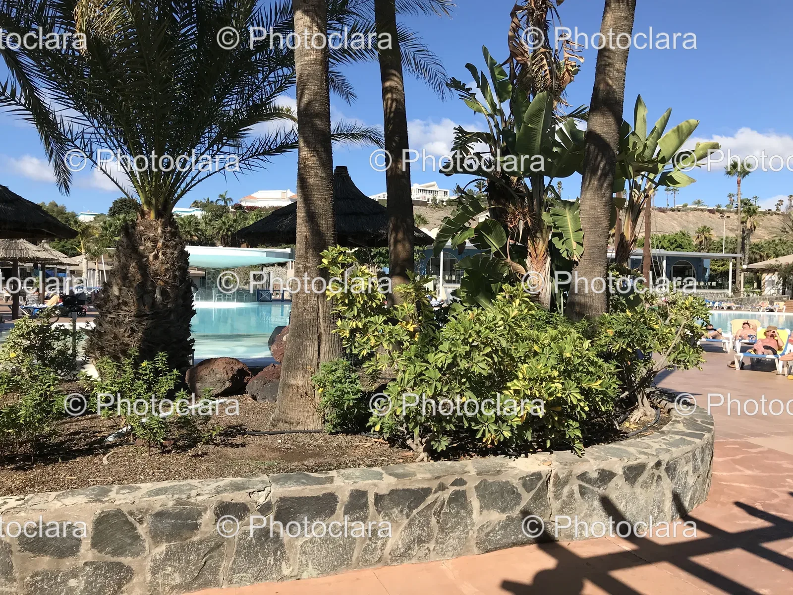 lush-poolside-oasis-with-palm-trees.jpg