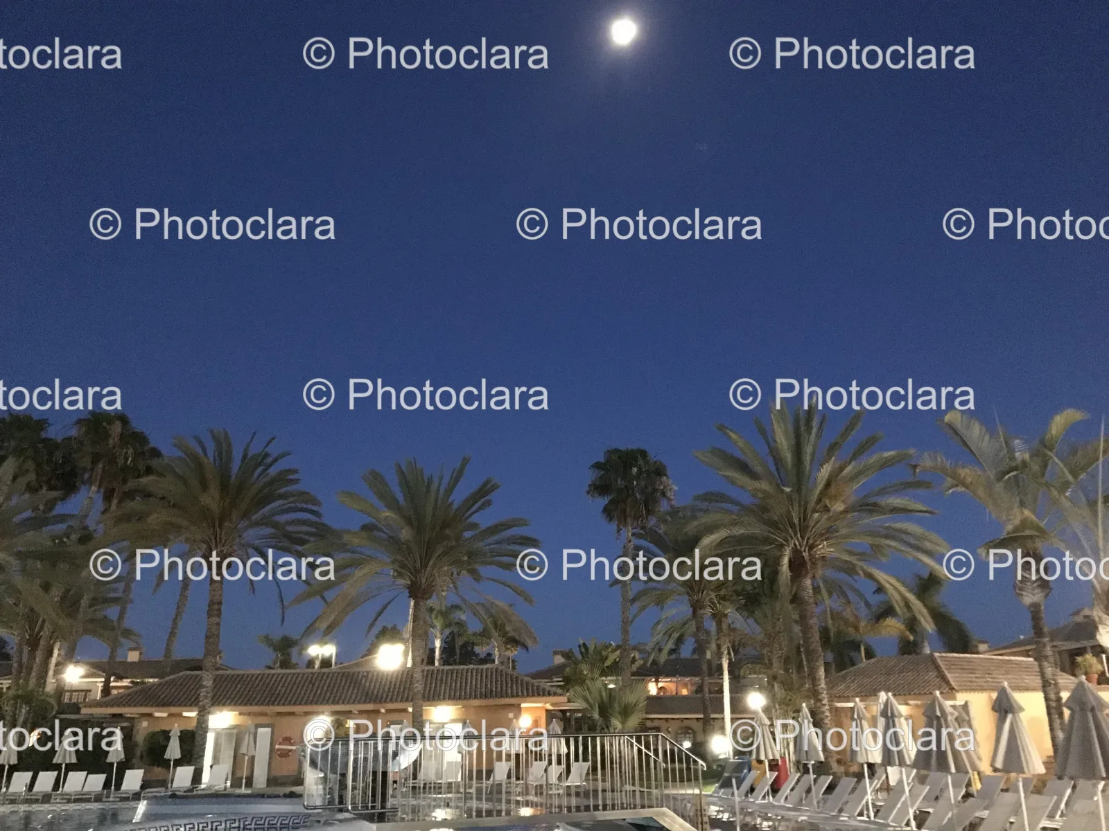 night-poolside-serenity-with-palm-trees.jpg