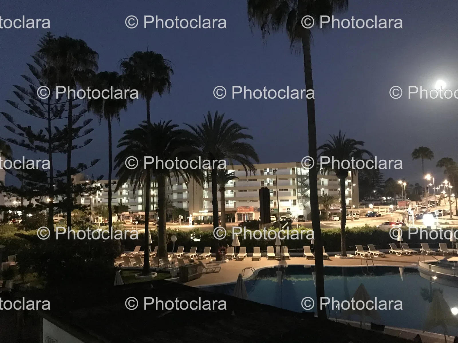 night-poolside-view-with-palm-trees.jpg
