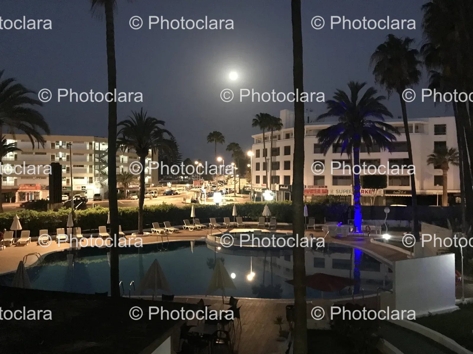 Nighttime-Pool-with-Palm-Trees-and-Buildings.jpg