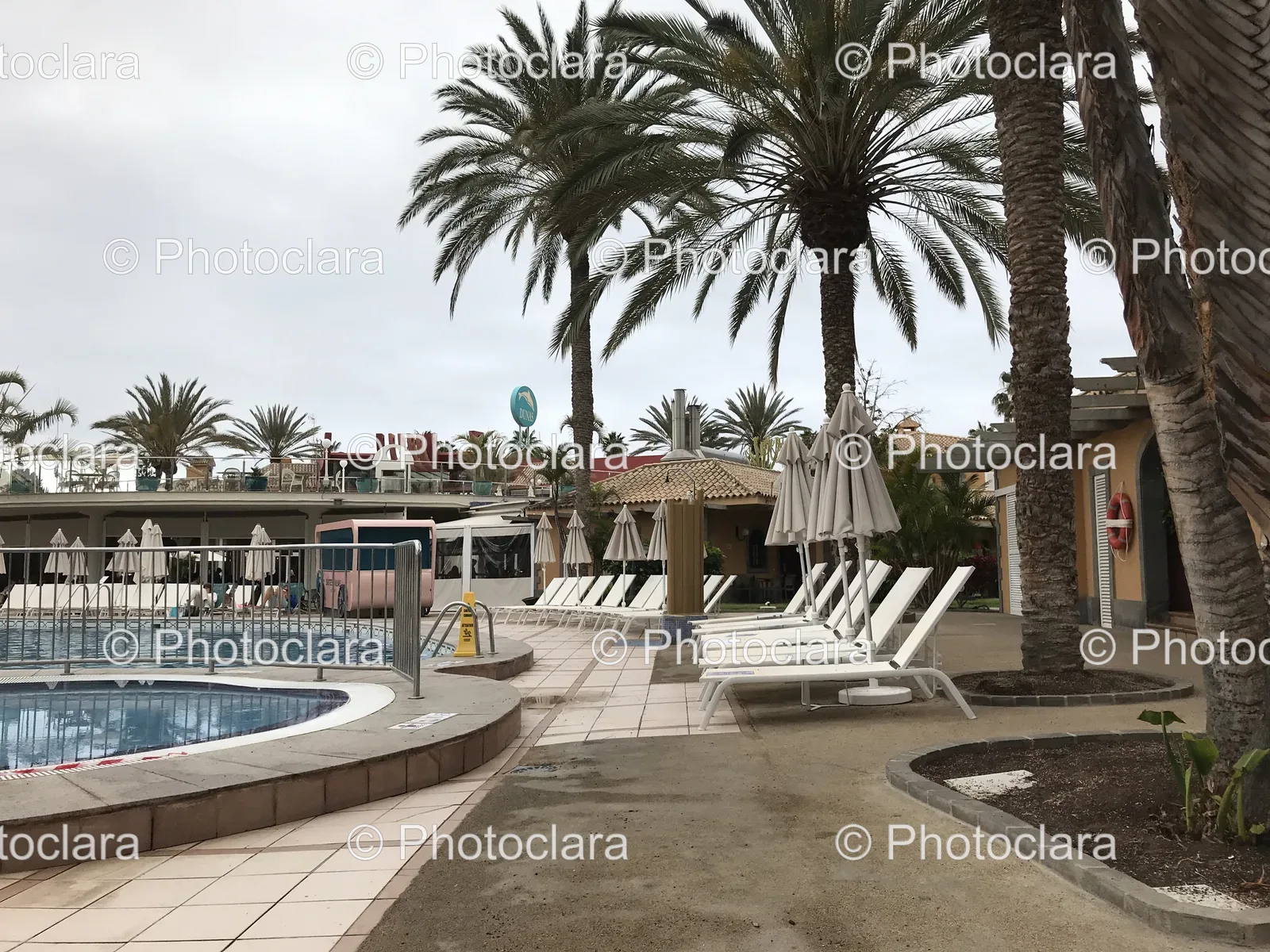 Poolside-Paradise-With-Palm-Trees-And-Lounge-Chairs.jpg