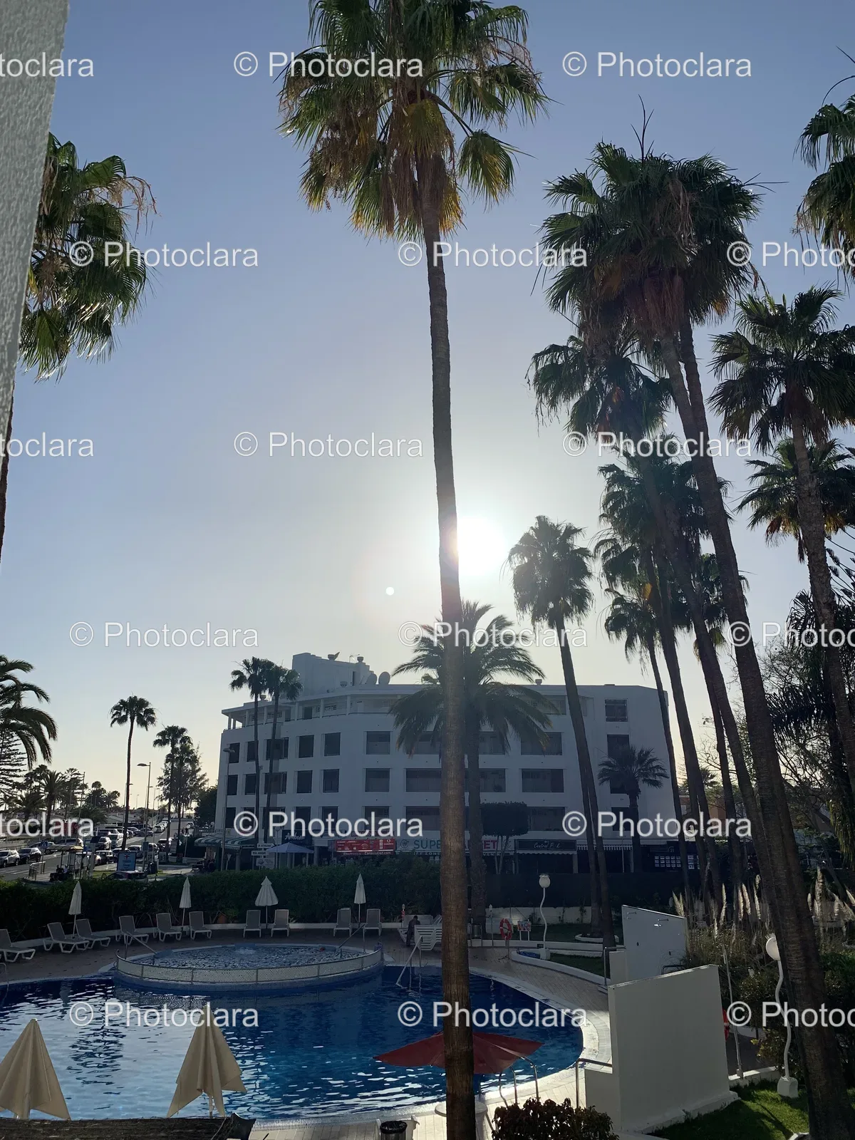 Poolside-Paradise-with-Palm-Trees.jpg