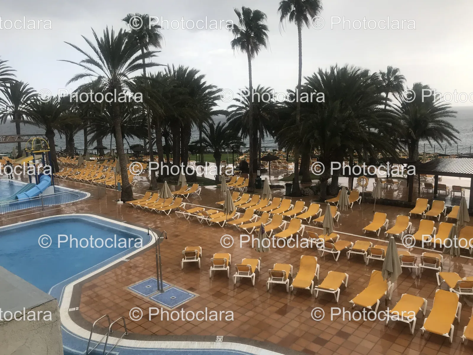 poolside-paradise.jpg