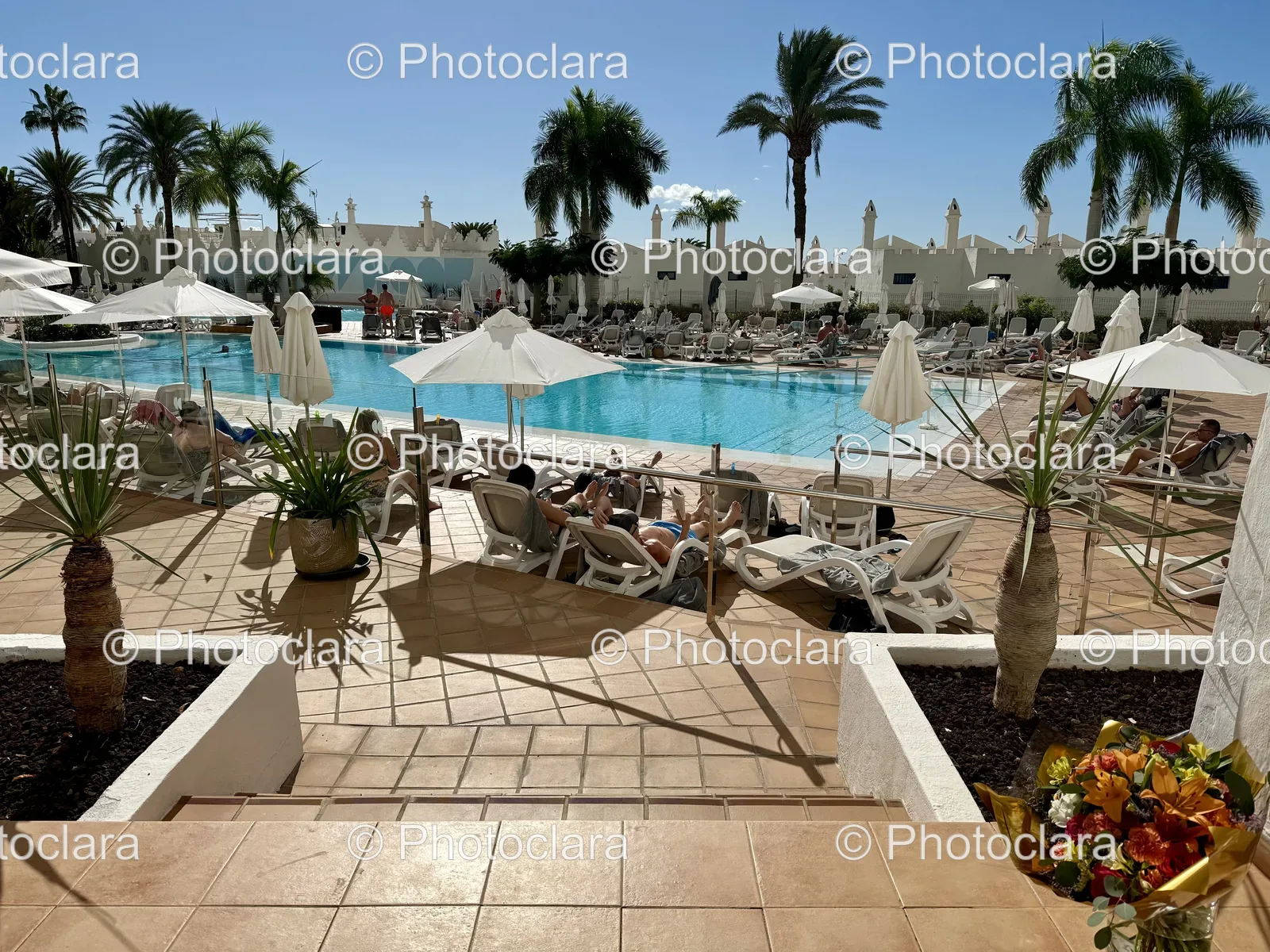 Relaxing-Poolside-Oasis.jpg