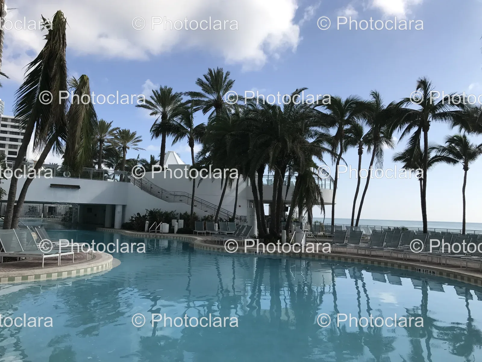 relaxing-poolside-retreat-with-palm-trees.jpg
