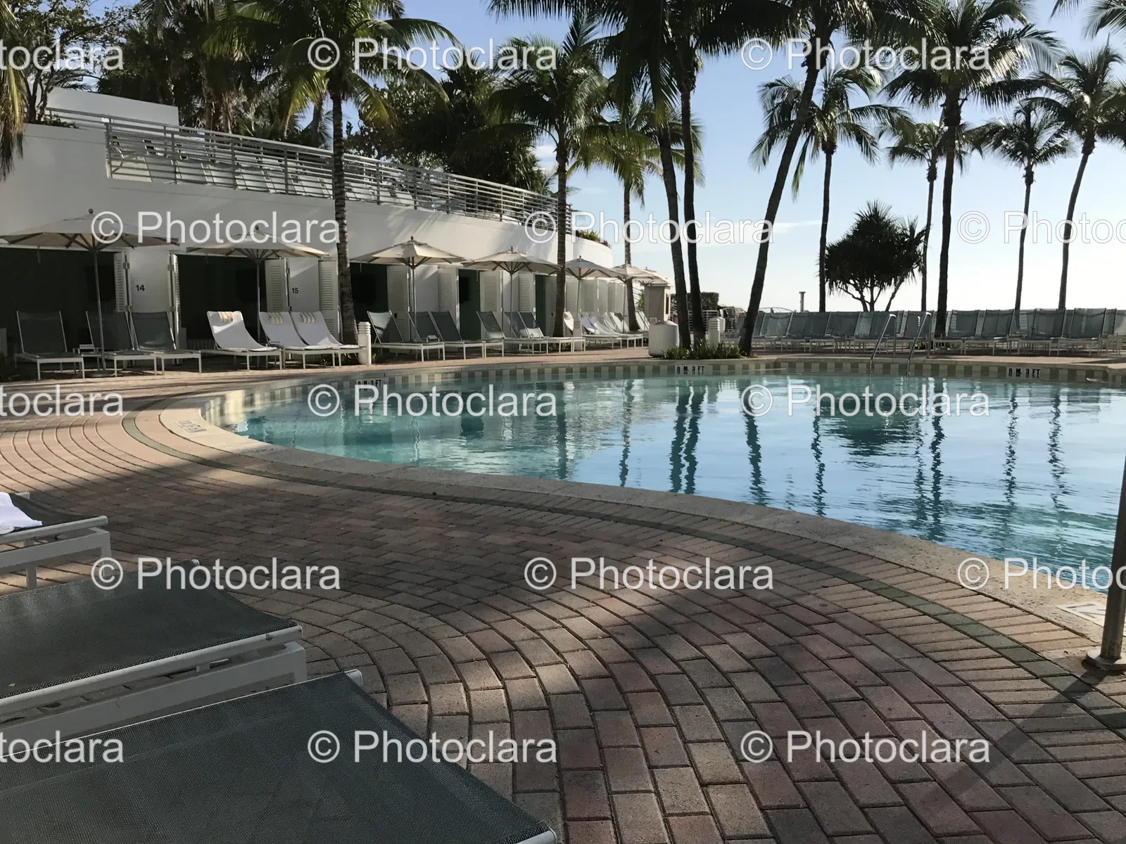 relaxing-poolside-with-palm-trees.jpg