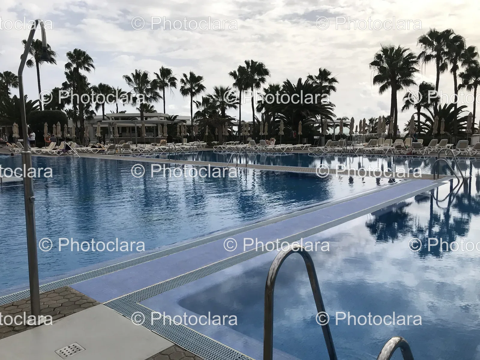 Resort-Pool-with-Palm-Trees.jpg