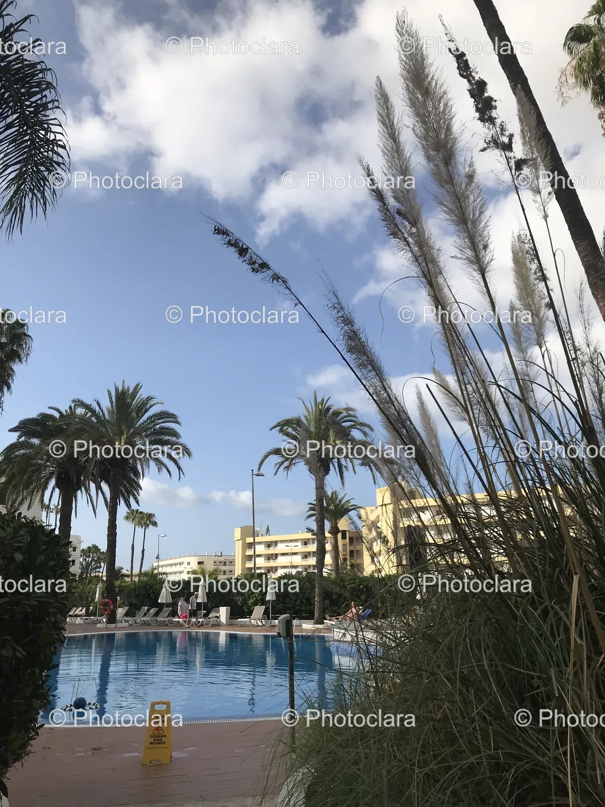 serene-pool-palm-trees-buildings.jpg
