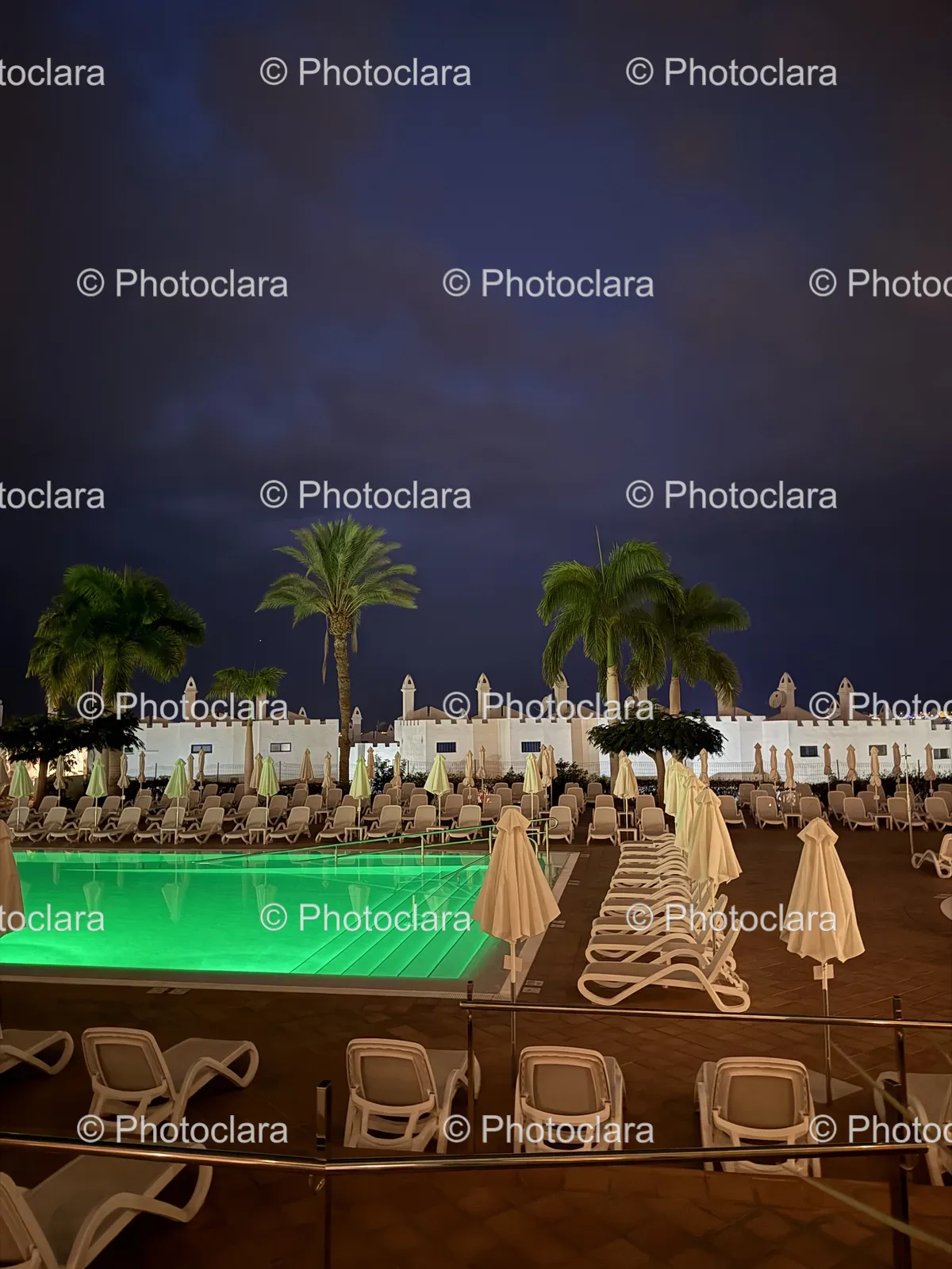 Serene-Poolside-Escape-with-Palm-Trees.jpg