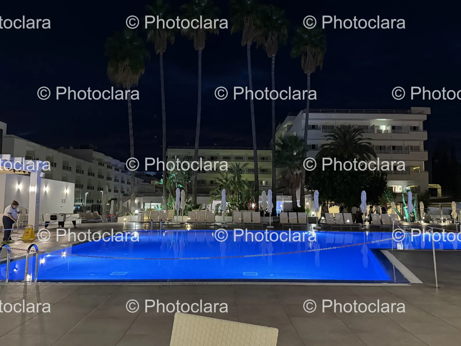 Serene-Poolside-under-Palm-Trees.jpg