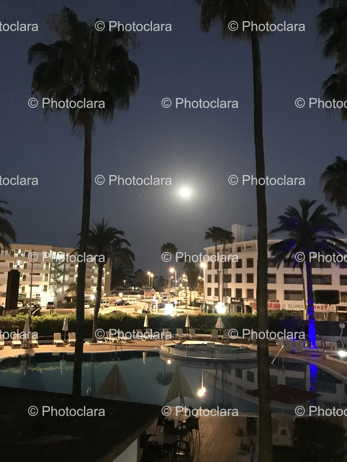 tranquil-night-poolside-with-palm-trees.jpg
