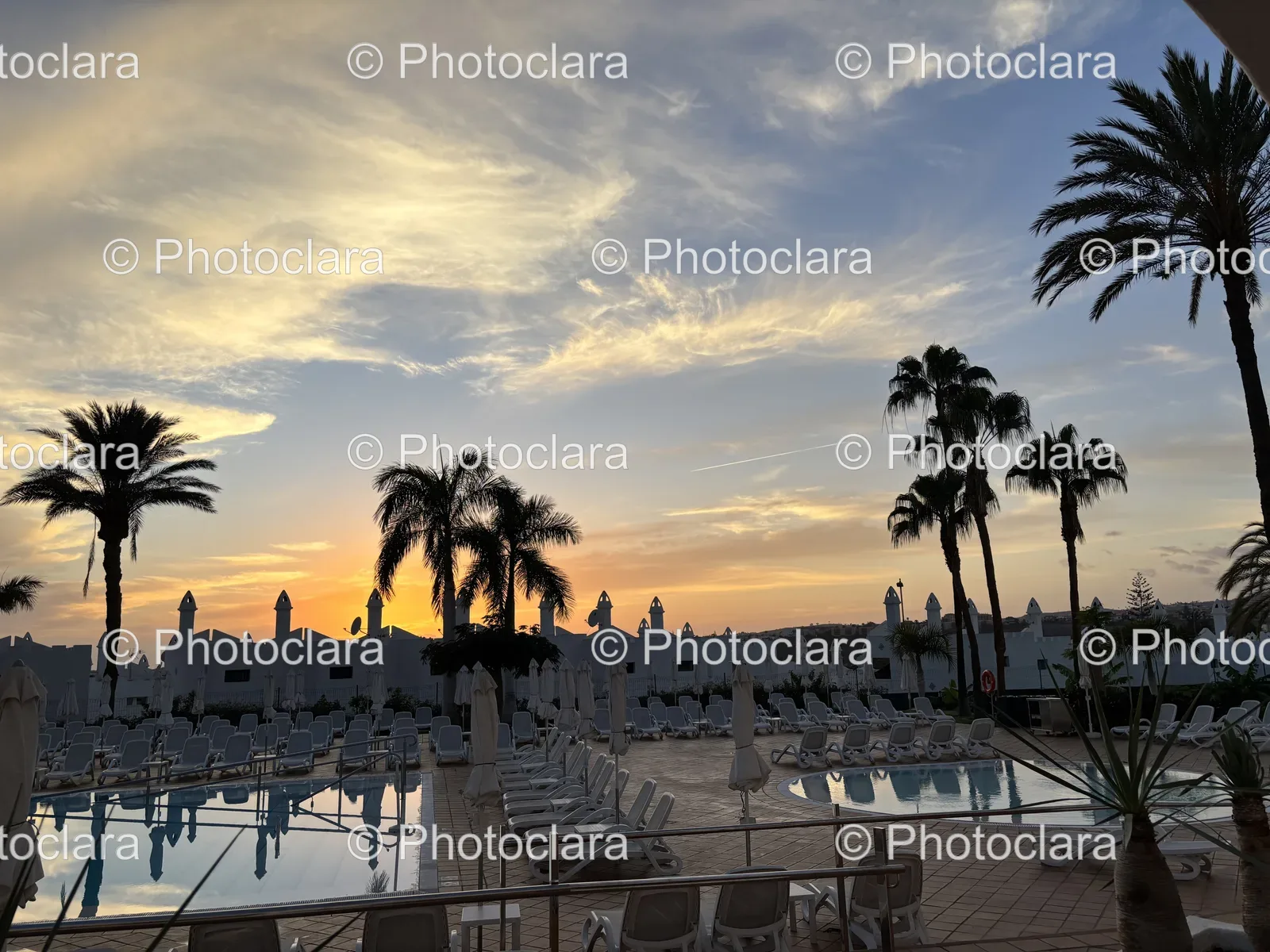 tranquil-palm-pool-oasis.jpg