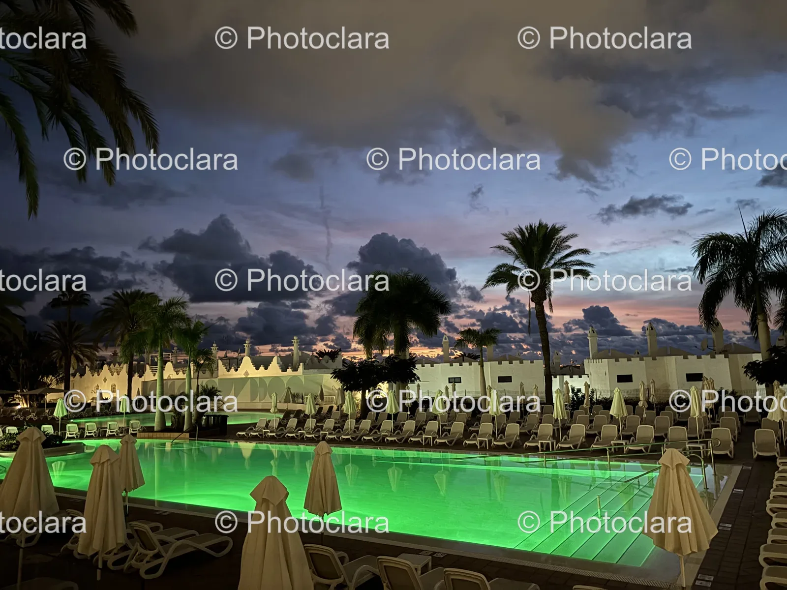 Tranquil-Poolside-Escape-with-Palm-Trees.jpg