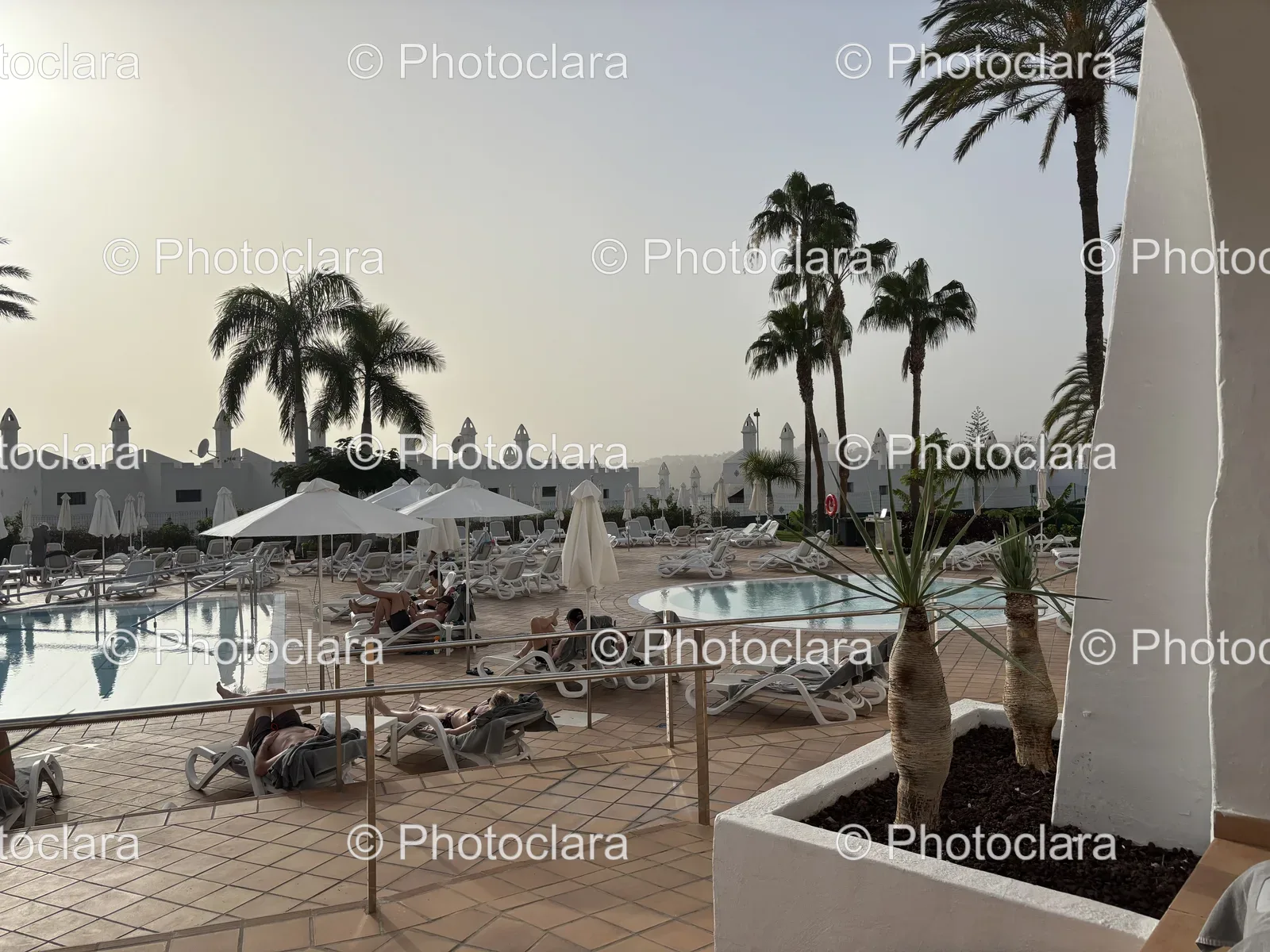 Tranquil-Poolside-with-Palm-Trees.jpg