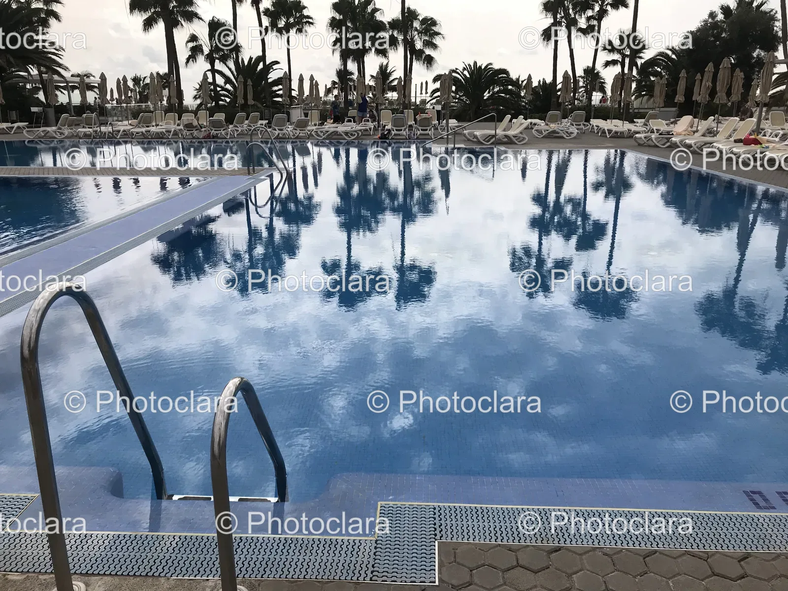 Tropical-Pool-Oasis.jpg
