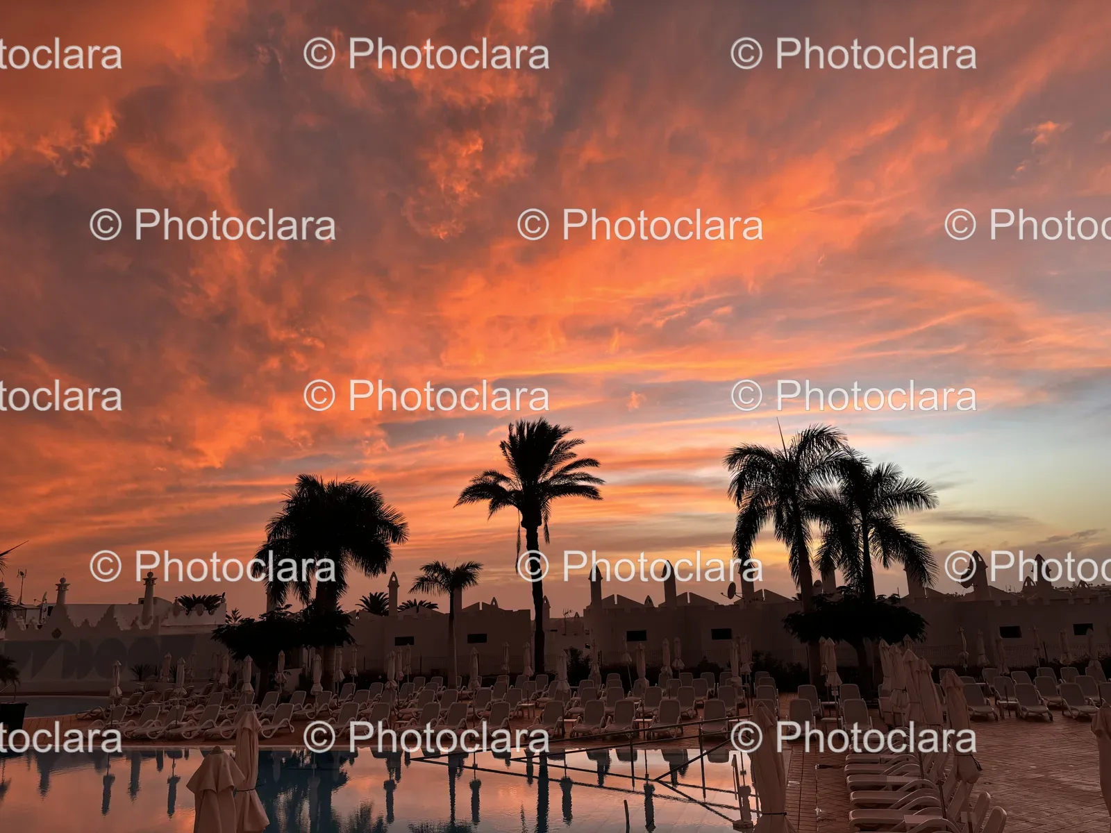 Tropical-Poolside-Paradise-at-Sunset.jpg