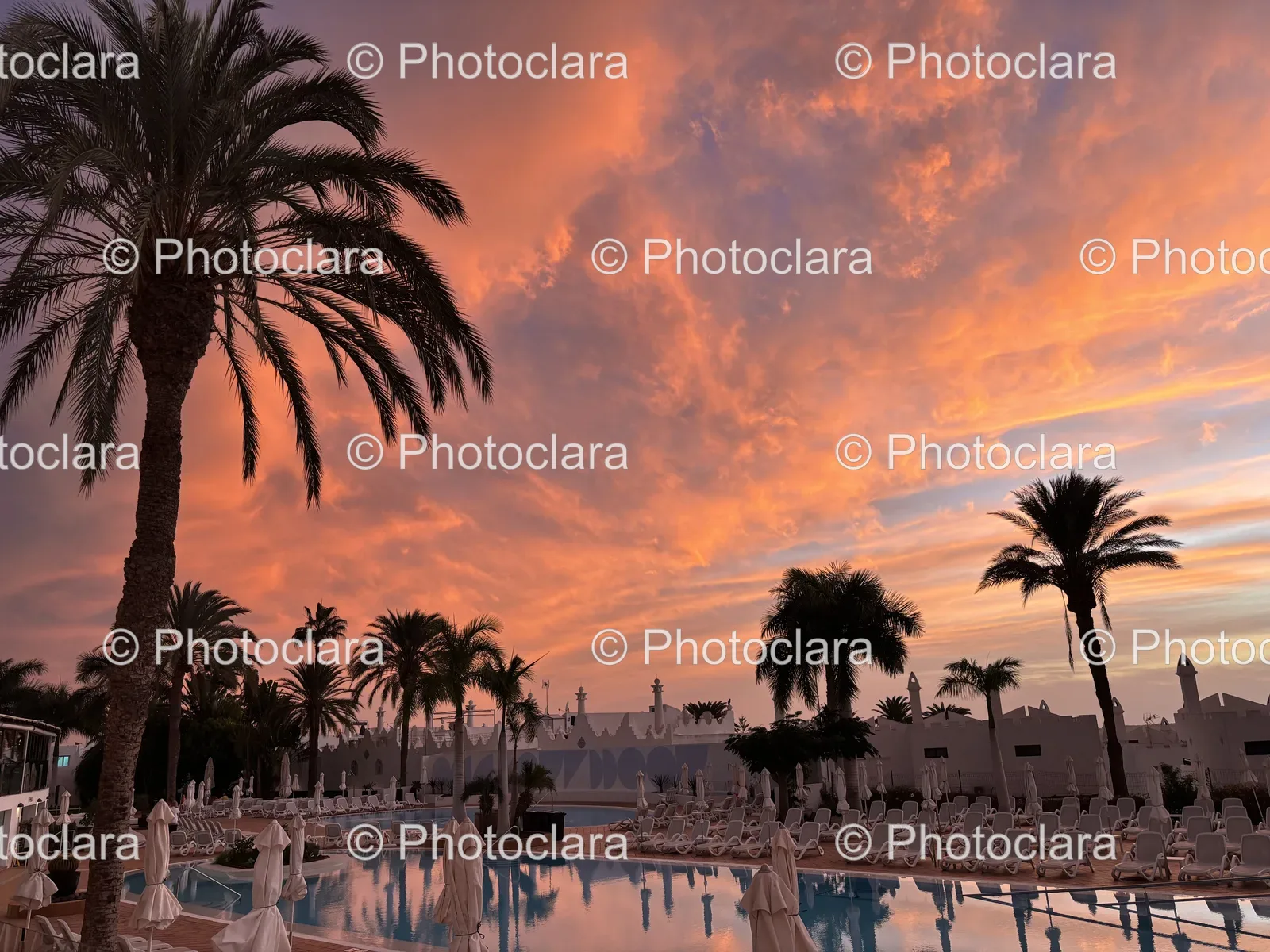 Tropical-Poolside-Paradise.jpg