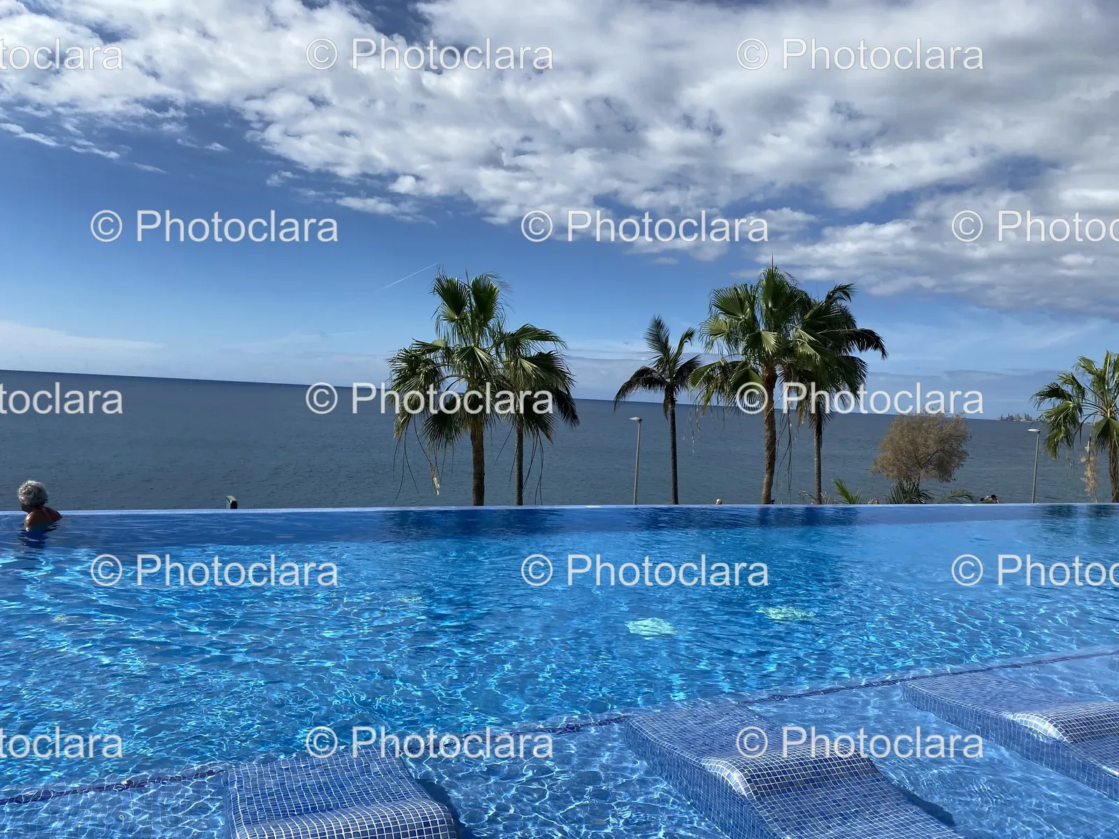 tropical-resort-pool-palm-trees.jpg