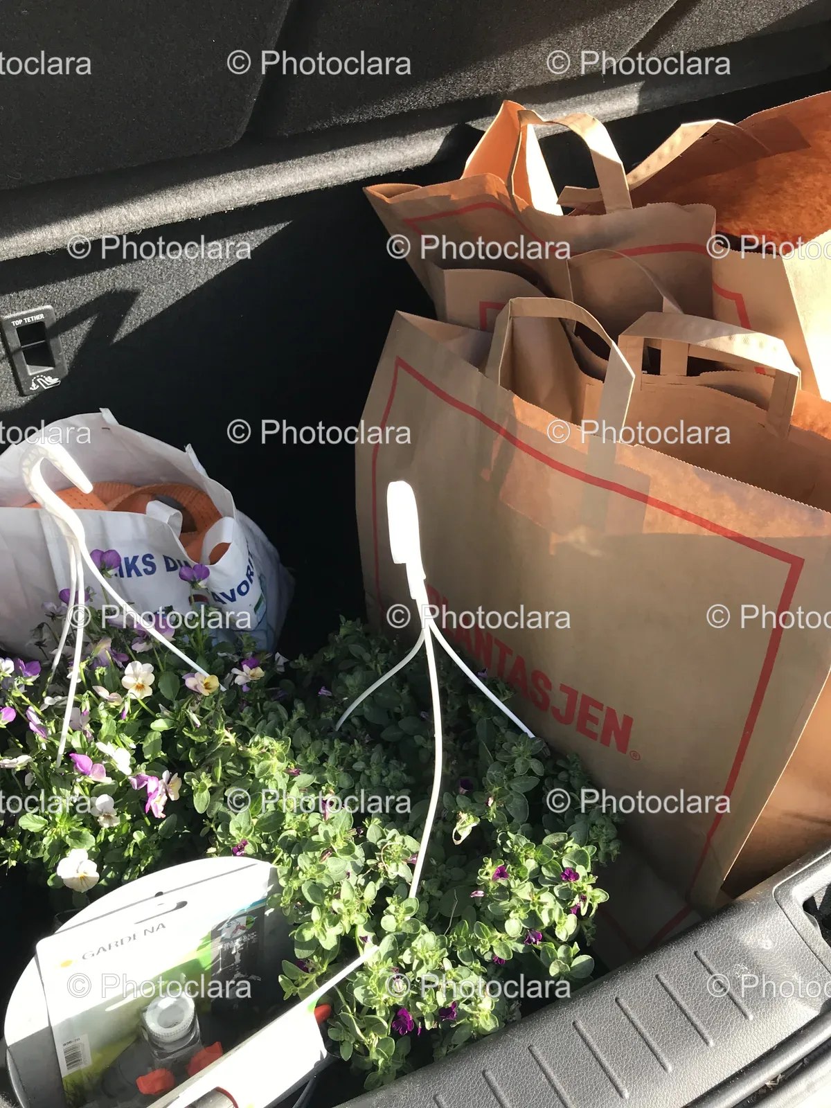 Luggage-Loaded-in-Car-Trunk.jpg