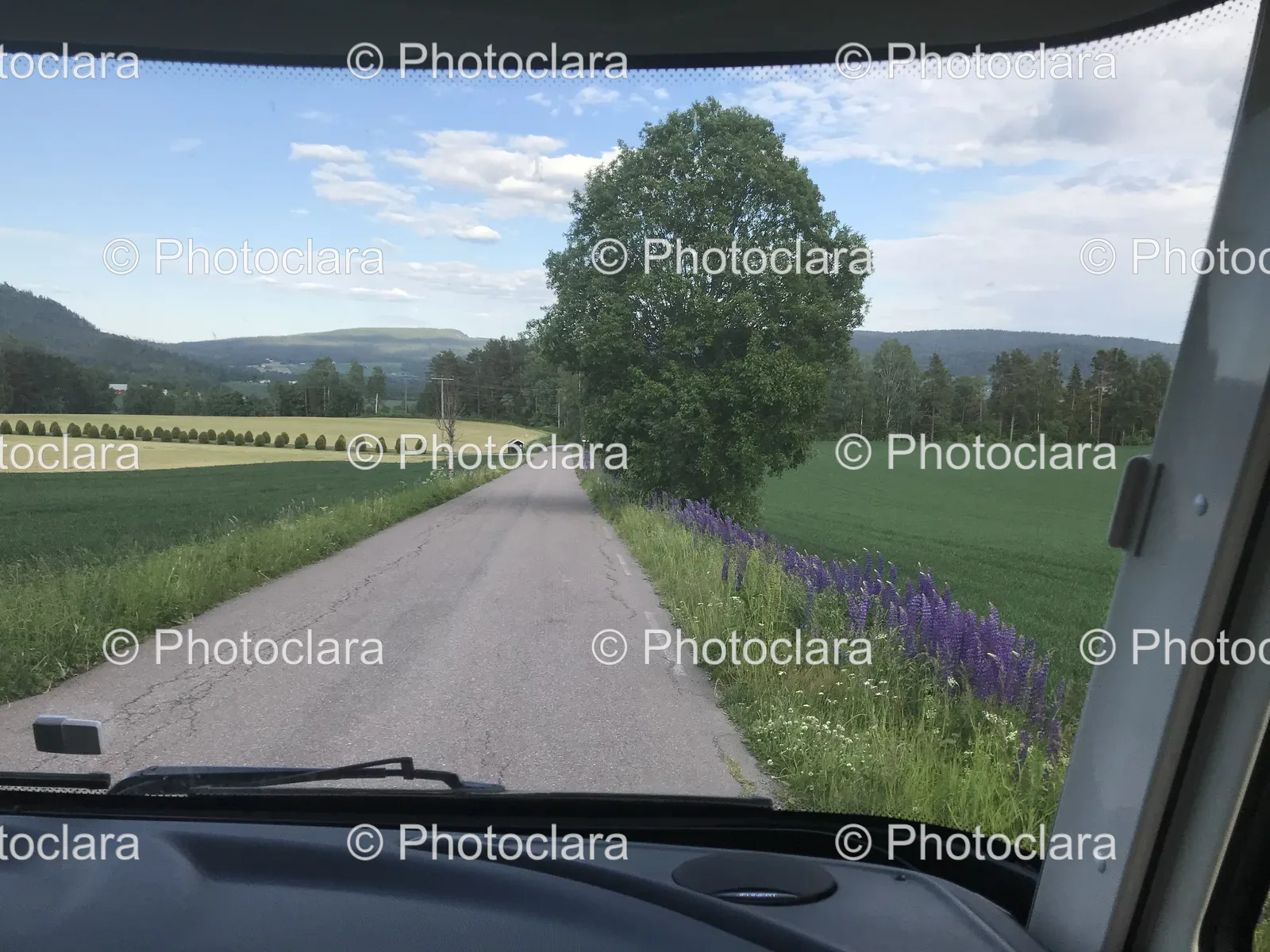 scenic-road-trip-through-car-window.jpg