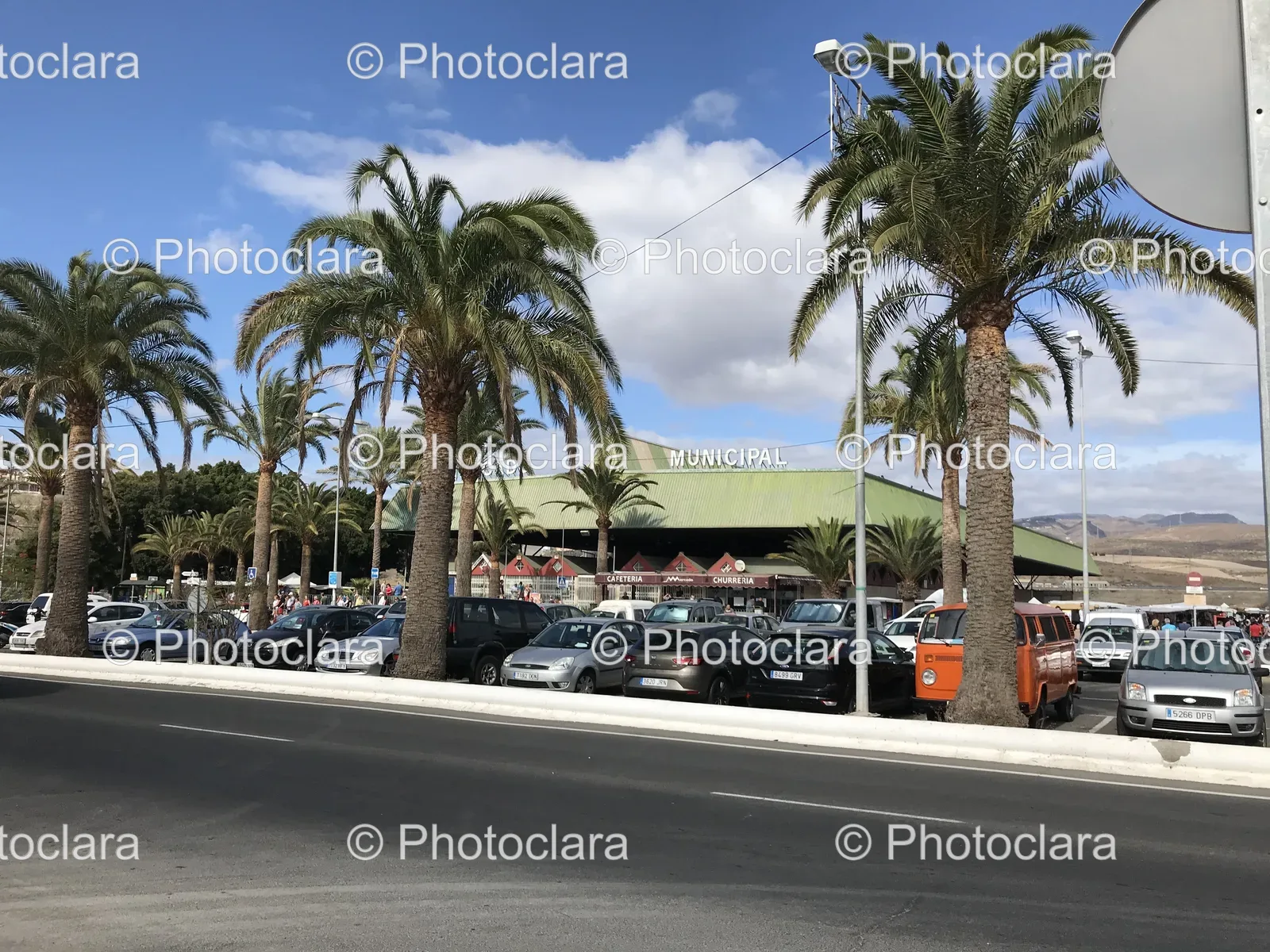 Parking-Lot-with-Palm-Trees-and-Building.jpg