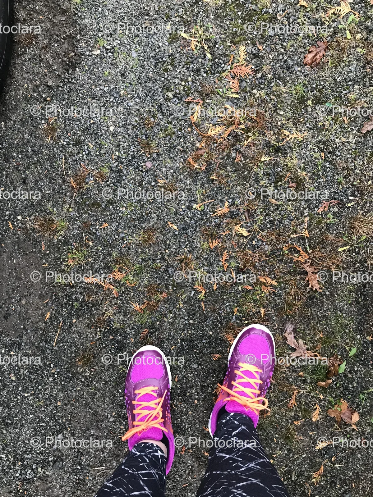 Purple-Shoes-on-Pavement.jpg