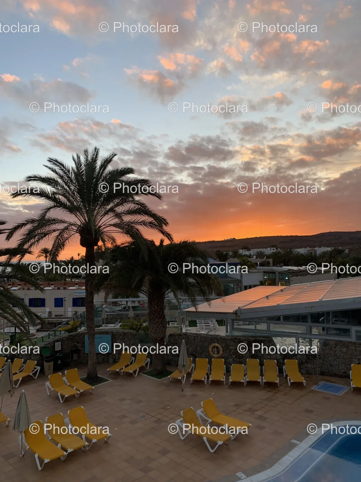Chairs-and-Palm-Trees-Tropical-Setting.jpg