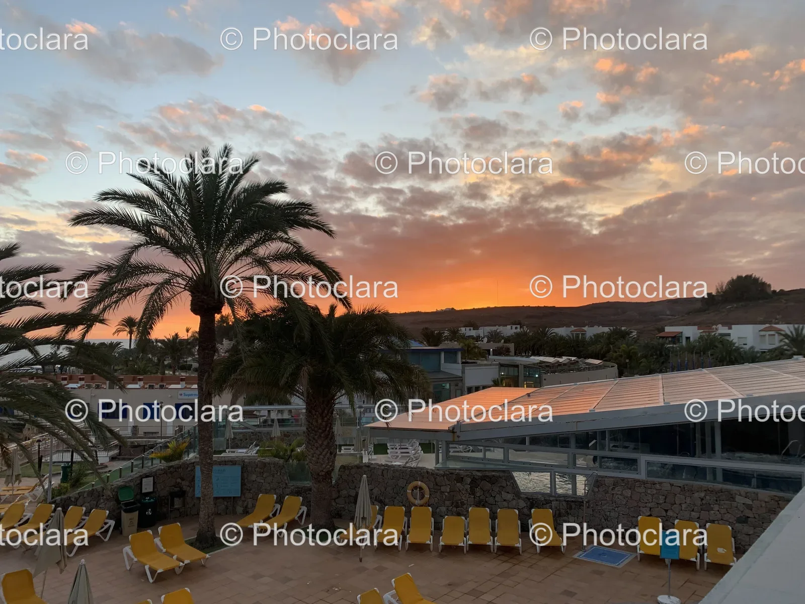 chairs-palm-trees-building.jpg