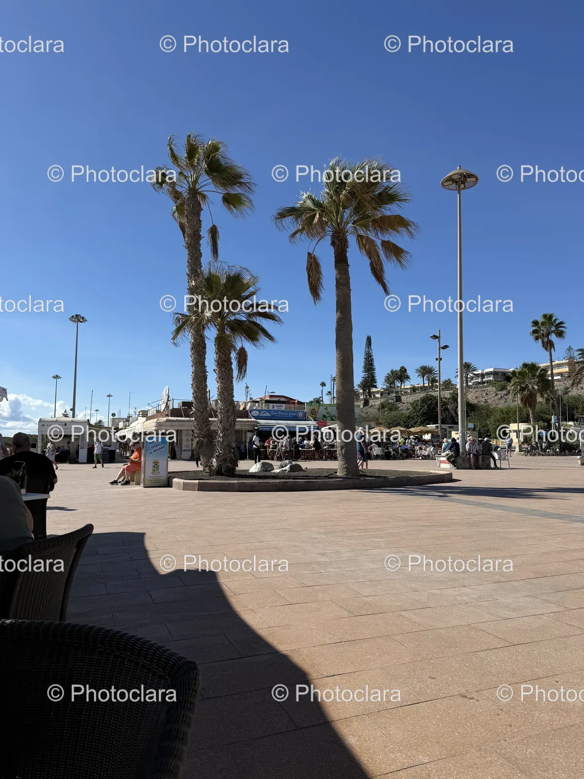 Courtyard-Gathering-under-Palm-Trees.jpg